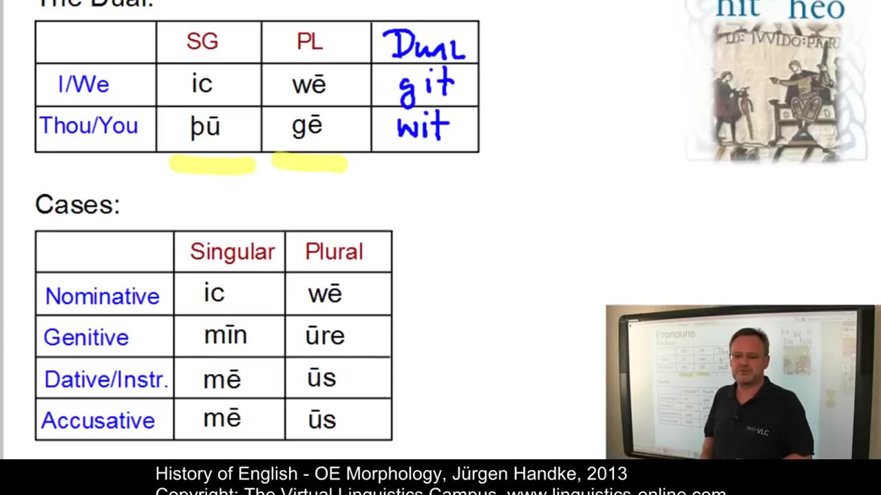 Morphology