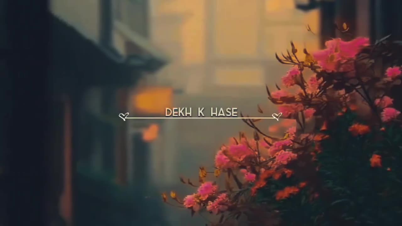 Feel the song,