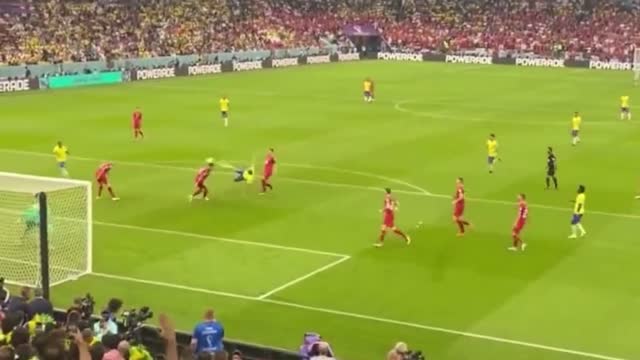 FAN VIEW - Richarlison Wonder Goal vs Serbia (Reactions)