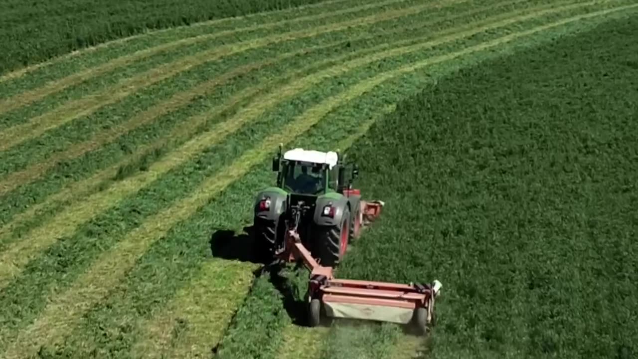 CRC vídeos curiosos