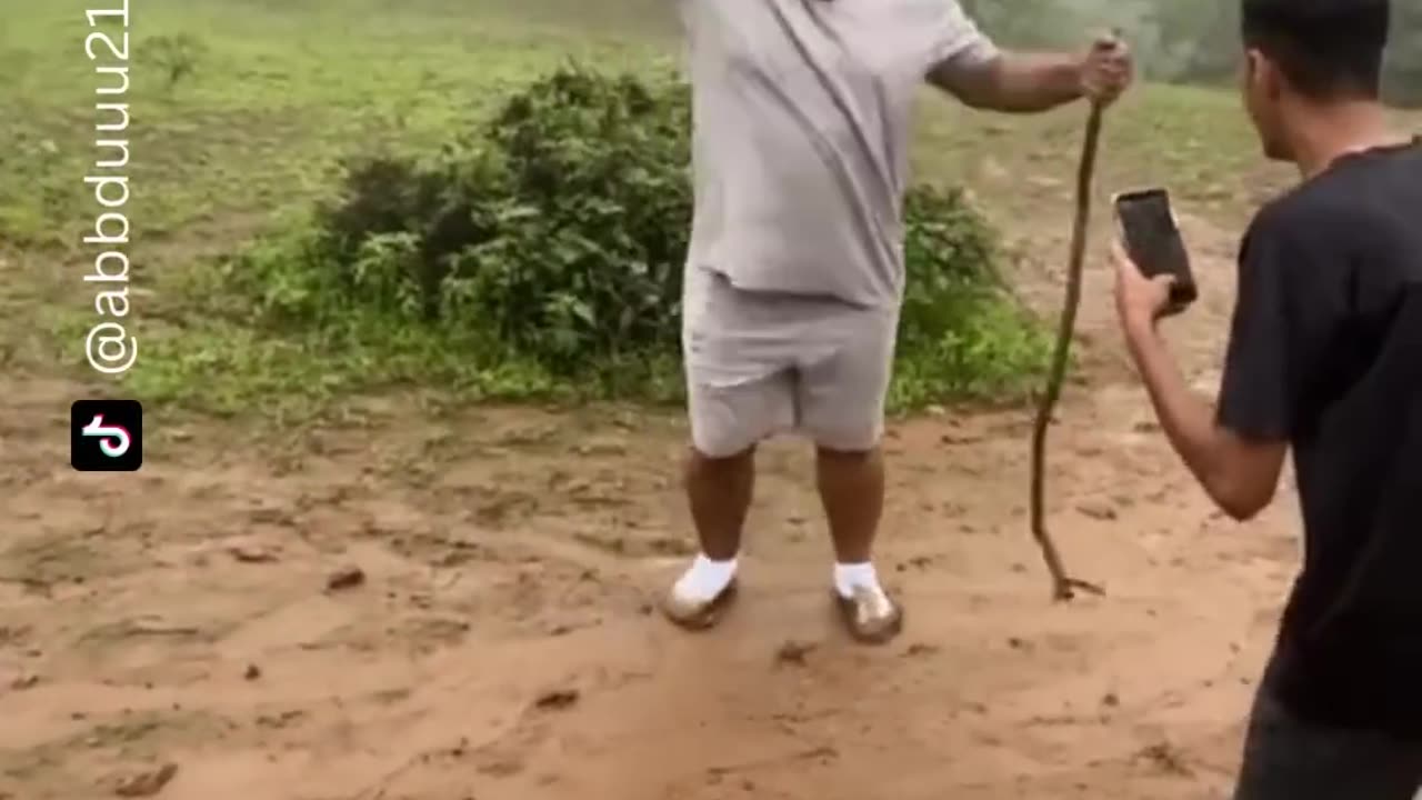 Funny short videos