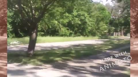 DRIVING AROUND PARIS, TEXAS: Graham St