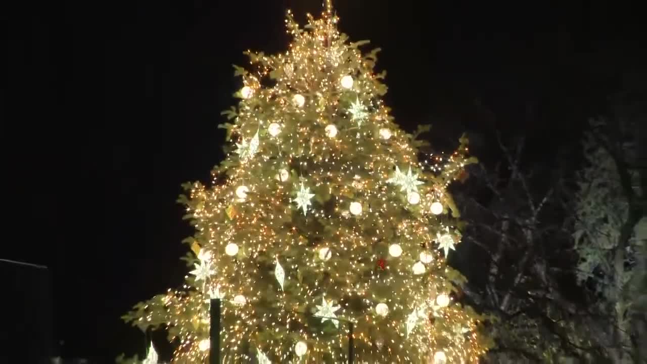 President Joe Biden lights the National Christmas Tree to kick off holiday season