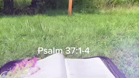 Scripture Break