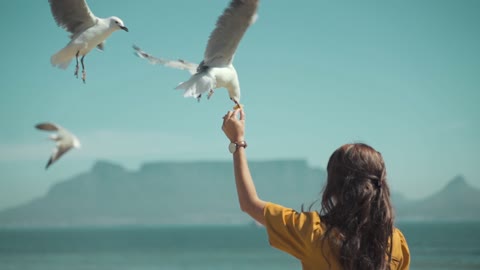 She feeds the flying birds with her hand. They really have no hesitation!