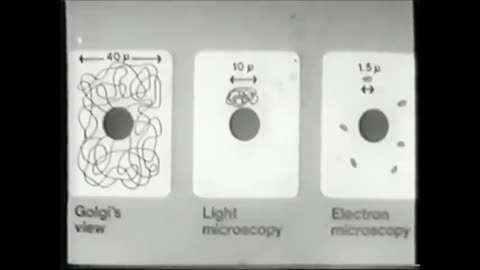 Dr Harold Hillman Exposed The Scientific Fraud of Biology.