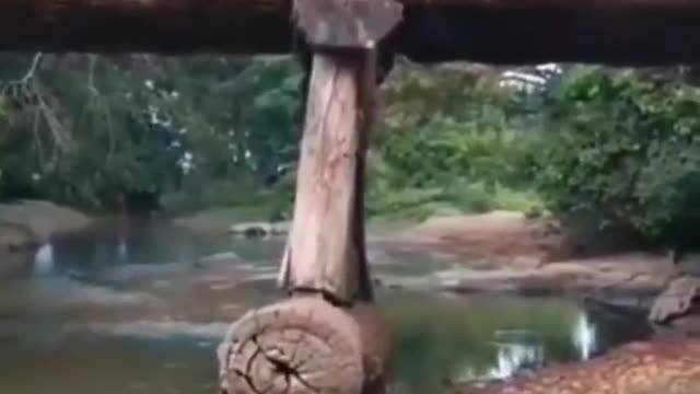 Massive truck fully loaded with logs of wood crashes while crossing bridge