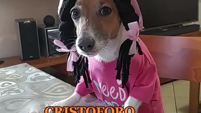 Chi era Cristoforo Colombo?😂