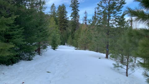 Very Vibrant Ochoco National Forest – Bandit Springs Sno-Park – Central Oregon – 4K