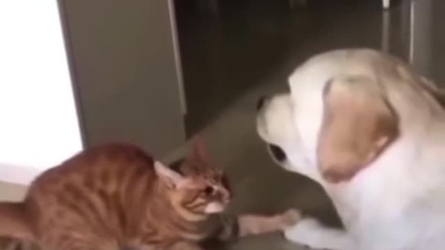 Don't take my stuff! Brother!😋😋