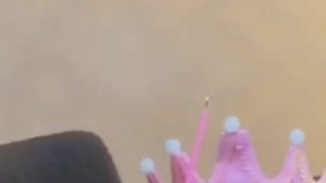 Cute Cat Birthday Celebration #Shorts #Trending#Video