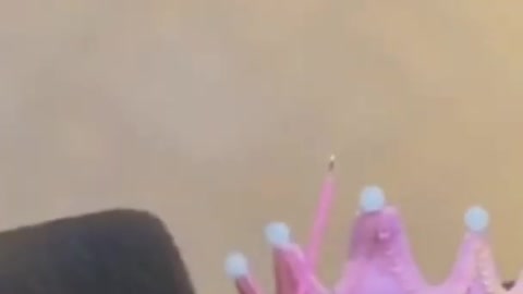 Cute Cat Birthday Celebration #Shorts #Trending#Video