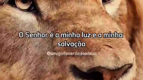 Ñ desista