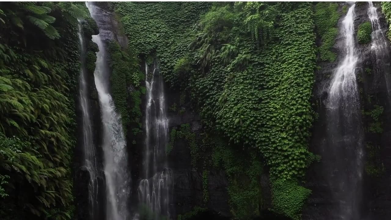 The Water fall & Greenery is an amazing view for relaxement _ Get more such views with NatureZone01