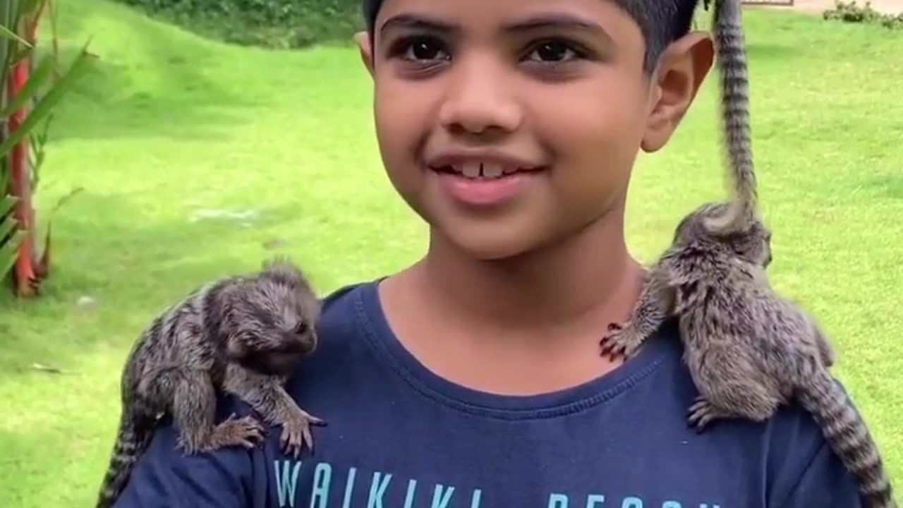 Cute kids & cute animals 😍😍😍 Cats & Kittens