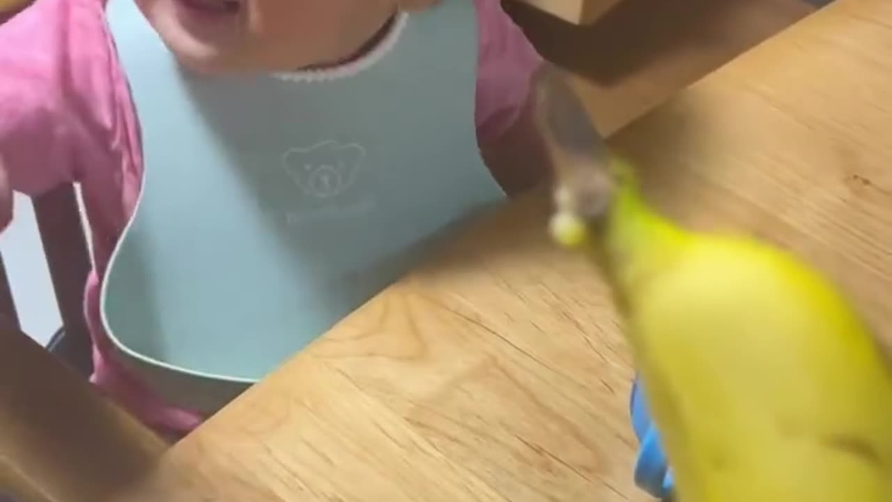 He always finishes what he’s doing super quickly to get the banana 😭