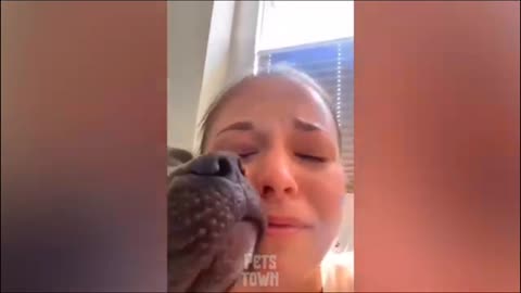 Wonderful work of pets 😍🤗