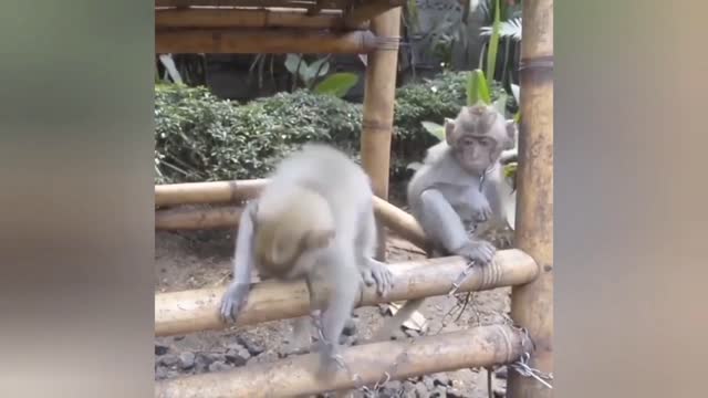 Funny video part !! 1
