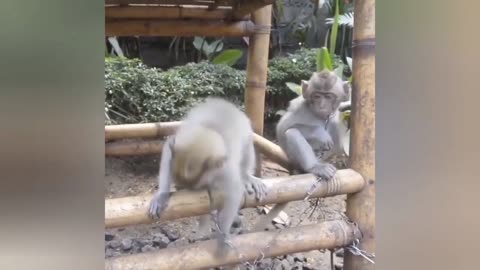 Funny video part !! 1