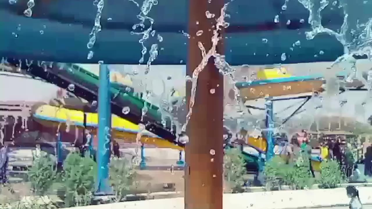 Wild venture park