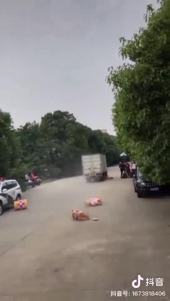 Trucker ran through Chinese Covid barricade