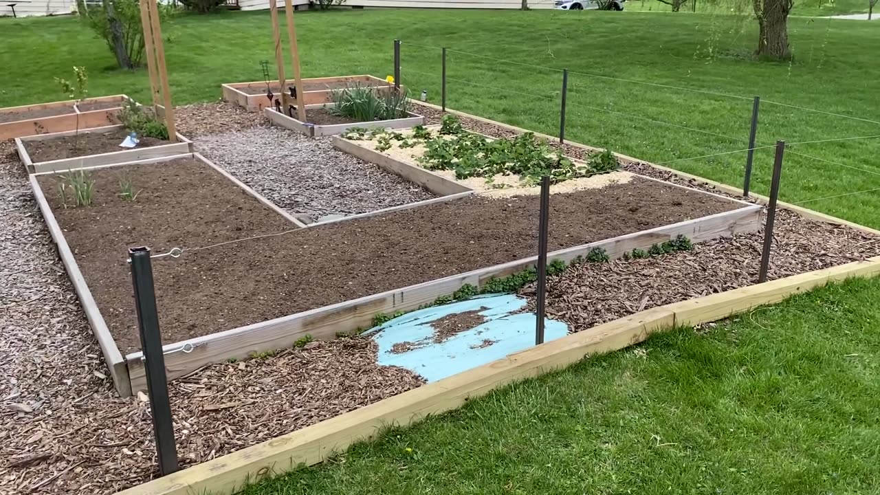 Garden Espalier Trellis Installed