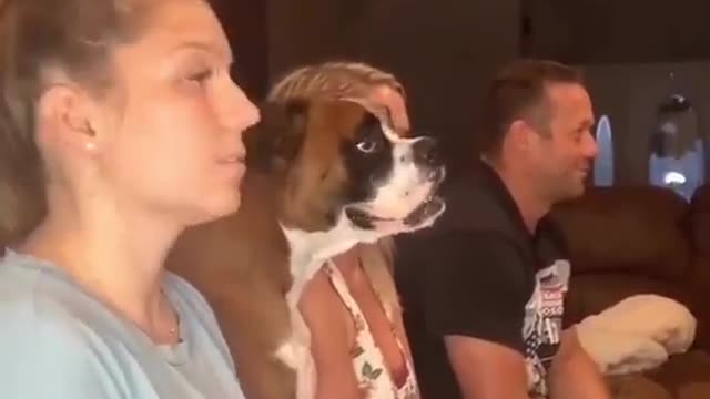 How did they get the dog to do that 🦮🤣