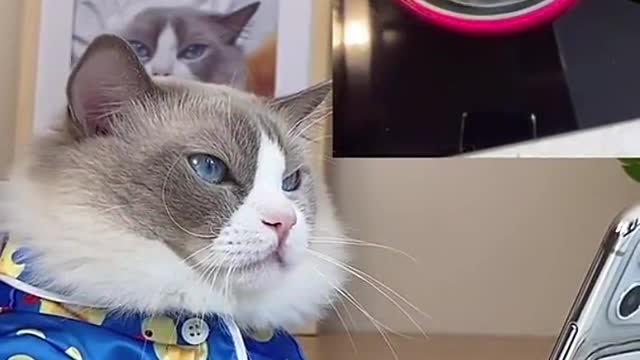 Don’t say a word…