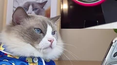 Don’t say a word…