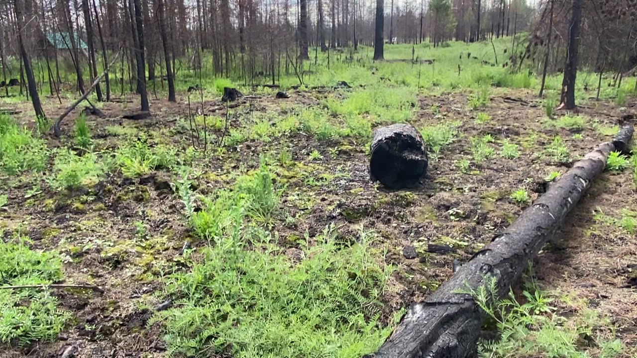 Oregon Road Strange Fire AfterMath Washington State- Investigation