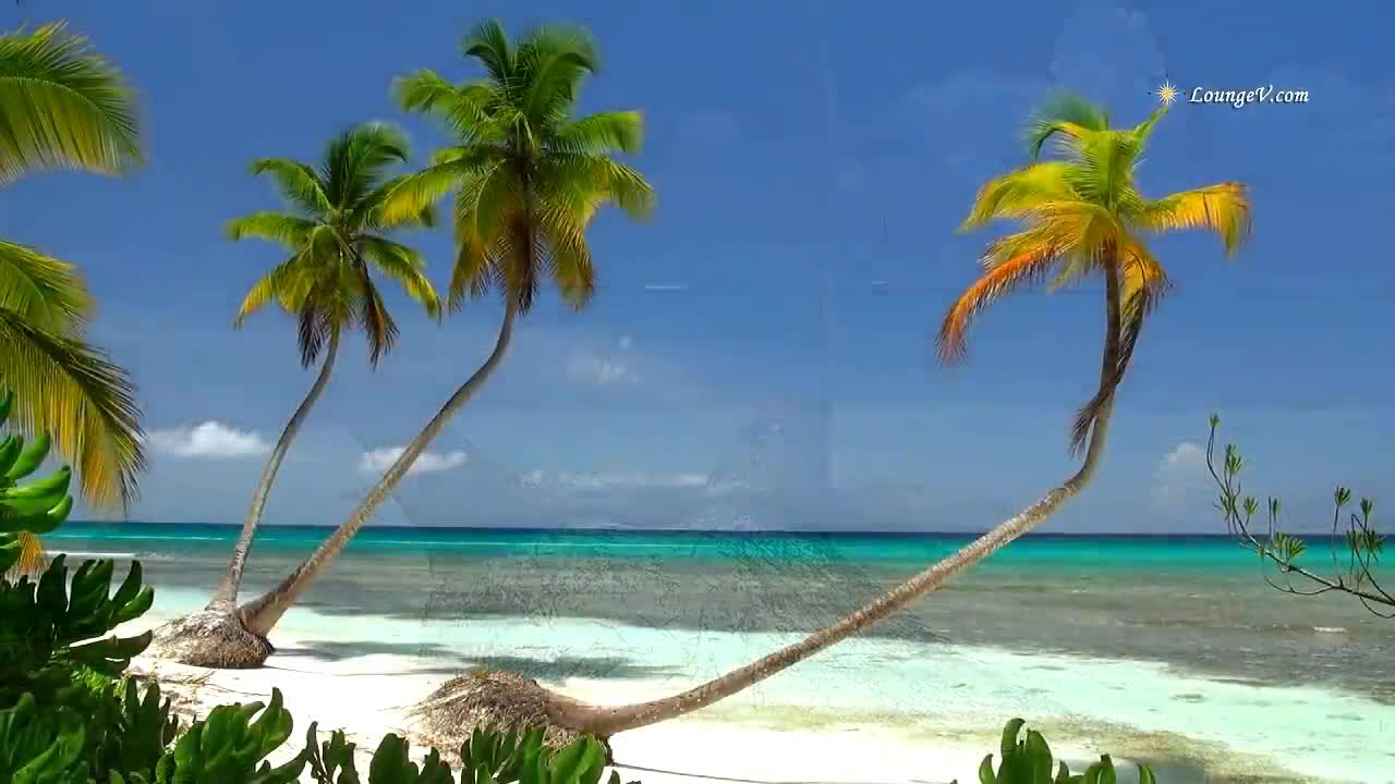 Video with Beach Sounds