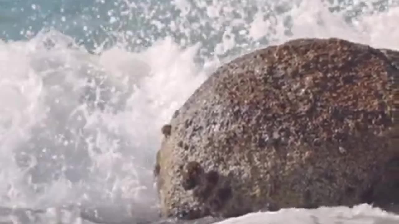 Sea Wave Touching the Stone Feel the Nature of Sea