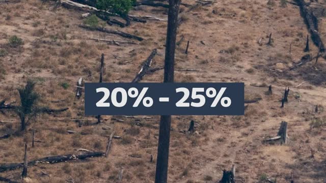 Could Brazil's election result save the rainforest? | ITV News