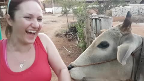 cute animals shows their love to human