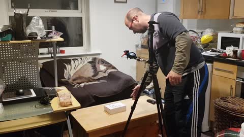 Setting up the GoPro on a magic arm mount to film 21st Nov 2022