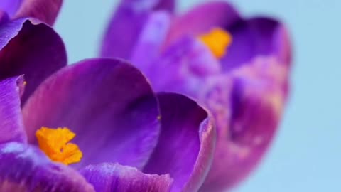 😊 GREETINGS TO EVERYONE 💚 AND OTHER SAYINGS COMING TO YOU ONLY FROM @amazingmarketingmethods ❤️