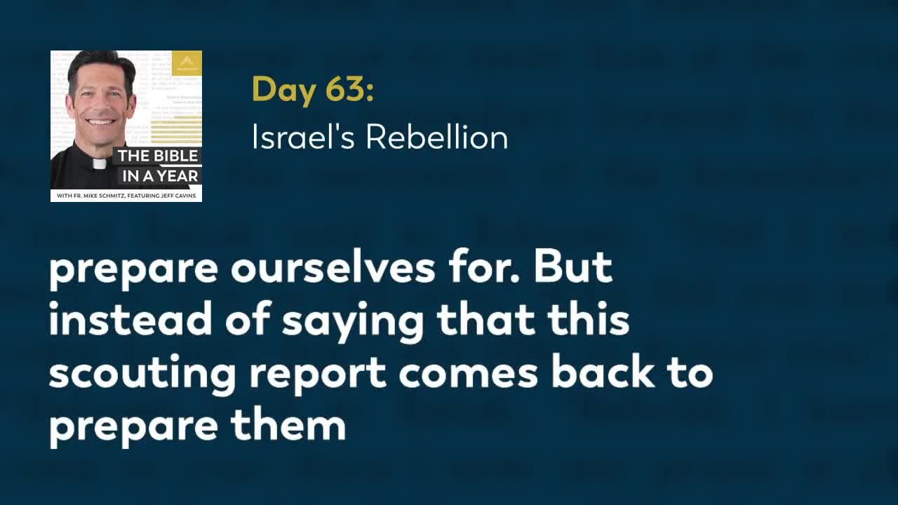 Day 63: Israel's Rebellion — The Bible in a Year (with Fr. Mike Schmitz)