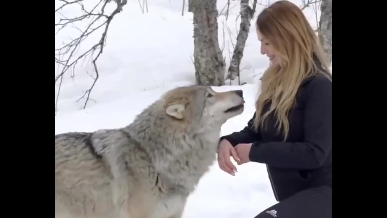 GIRL HOWLS WITH GIANT WOLVES