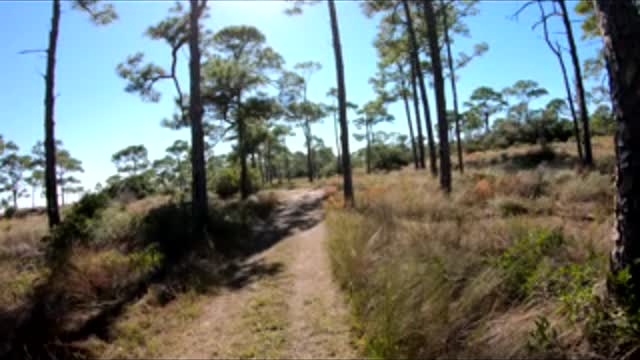 St. George Island Stargazing trip October 2023