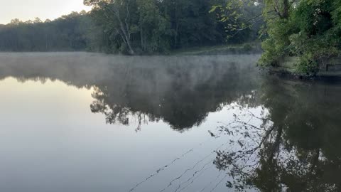 Morning at the Creek