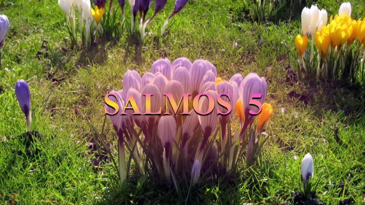 SALMOS 5