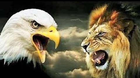 The Eagle And Lion,s Mentality.02