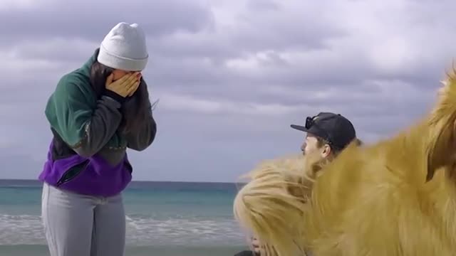 Dog Goes Bananas When Dad Proposes To Mom