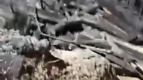 Fresh footage from the impact site in #Poland. That’s a huge impact crater.