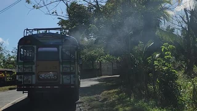 Nicaragua Chicken Bus