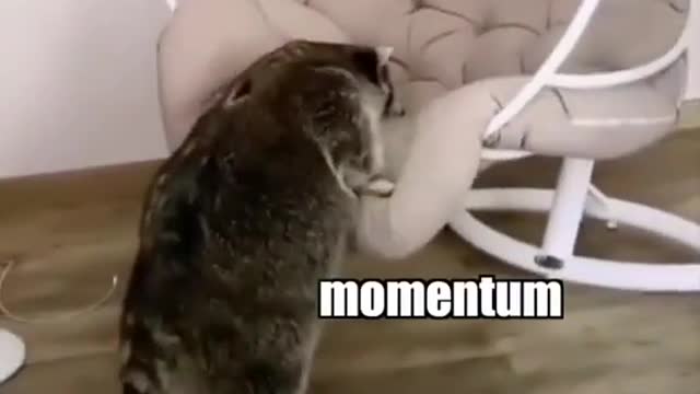You’re going to want to watch till the end on this one 😉