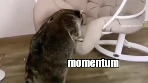 You’re going to want to watch till the end on this one 😉