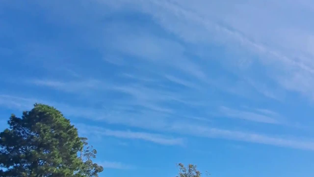 Aerial spraying Sydney 28 April 2023
