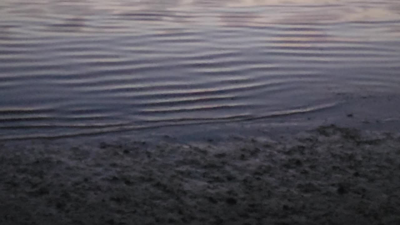 Coquina Beach