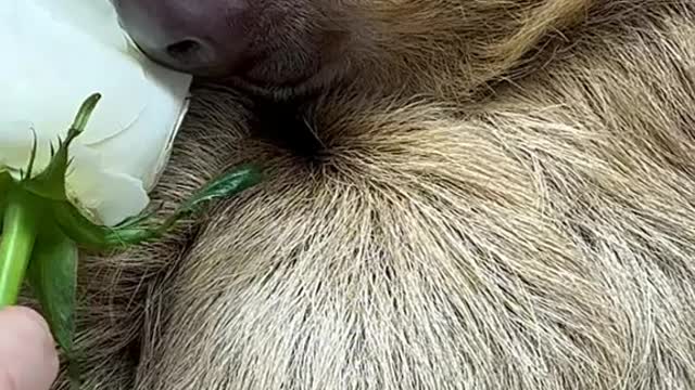 When your snack is so satisfying...